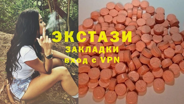 молекула духа Новодвинск