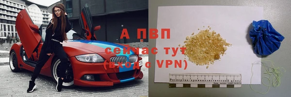 стафф Новозыбков