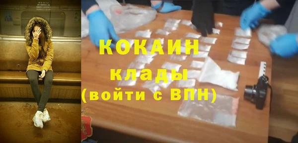 стафф Новозыбков