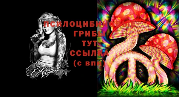стафф Новозыбков