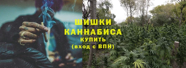 стафф Новозыбков