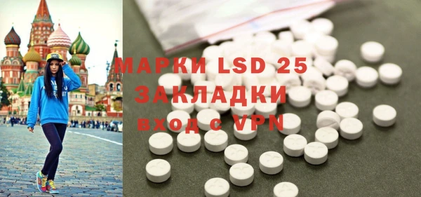 стафф Новозыбков