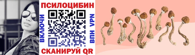 Галлюциногенные грибы прущие грибы  Малая Вишера 