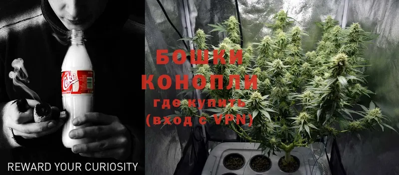 MEGA как зайти  Малая Вишера  Конопля OG Kush 